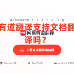 有道翻译支持文档翻译吗？