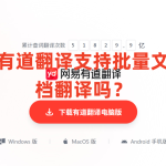 有道翻译支持批量文档翻译吗？