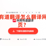 有道翻译怎么翻译网页？