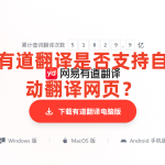 有道翻译是否支持自动翻译网页？