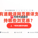 有道翻译网页翻译支持哪些浏览器？