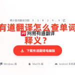 有道翻译怎么查单词释义？