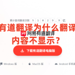 有道翻译为什么翻译内容不显示？