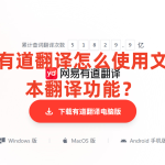 有道翻译怎么使用文本翻译功能？