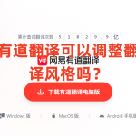 有道翻译可以调整翻译风格吗？